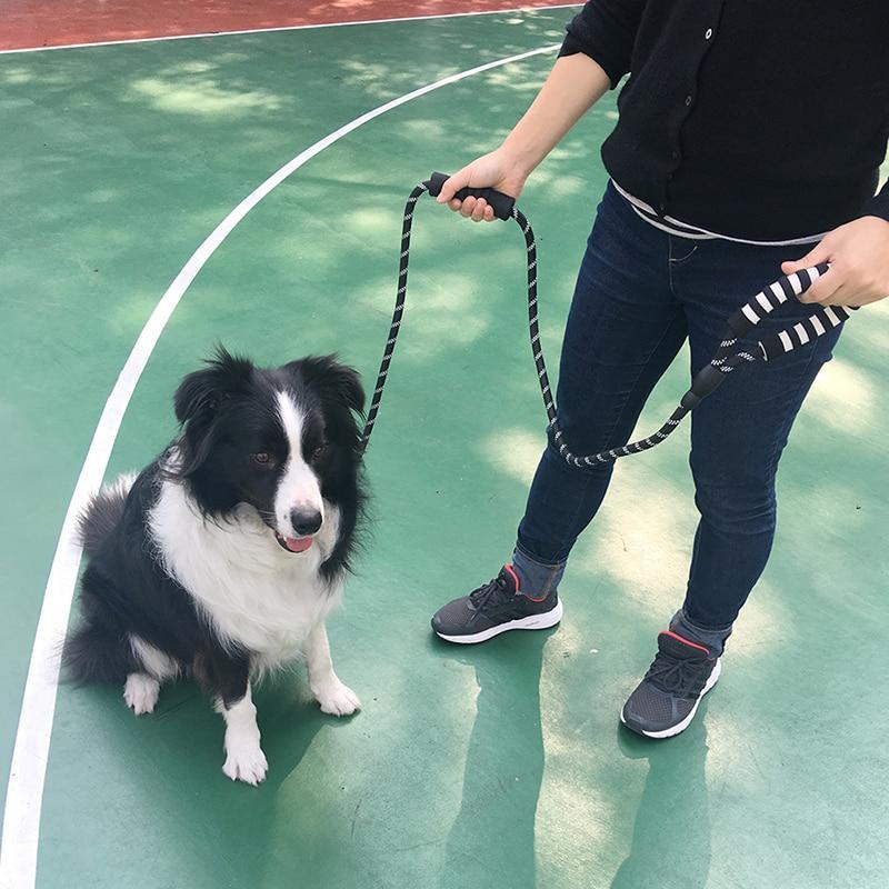 LaisseEduc™ - Corde en Nylon pour chien | Chien - Toutou Enjouer