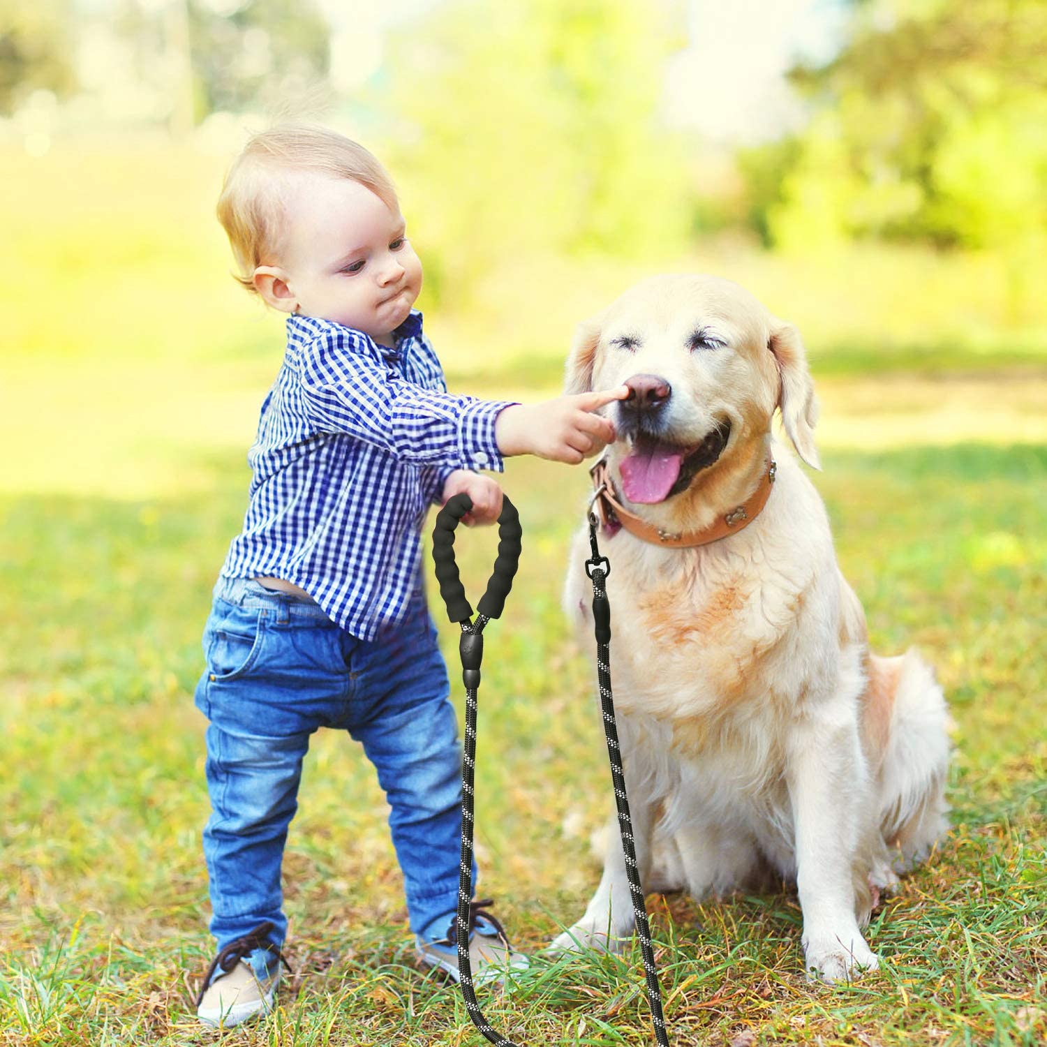 LaisseEduc™ - Corde en Nylon pour chien | Chien - Toutou Enjouer