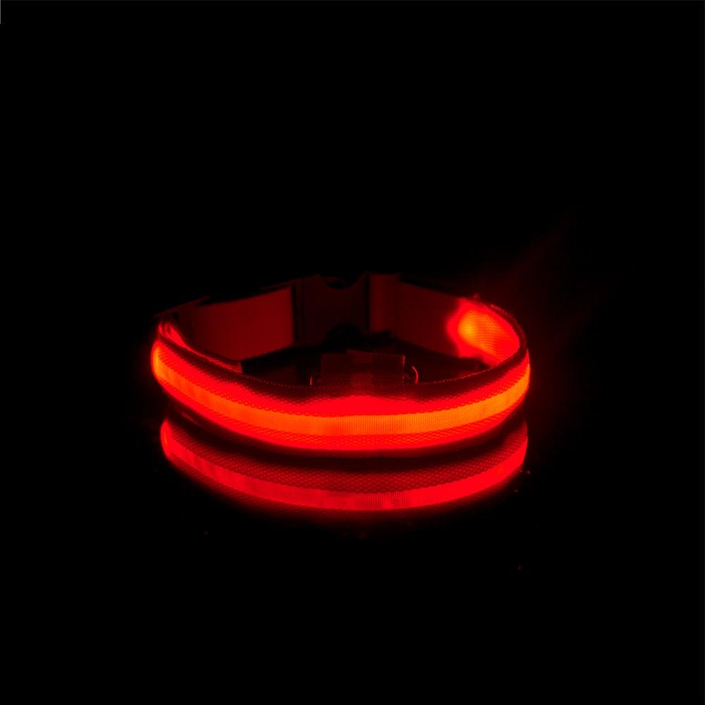 LedCollar™ - Collier à LED rechargeable pour chien - Toutou Enjouer