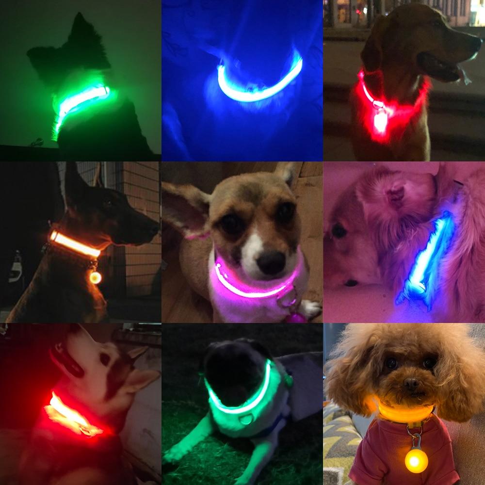 LedCollar™ - Collier à LED rechargeable pour chien - Toutou Enjouer